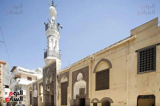 فوة ومطوبس