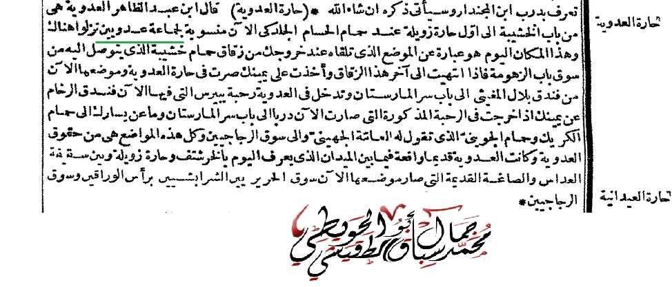 5 / الثورة ضد العباسيين