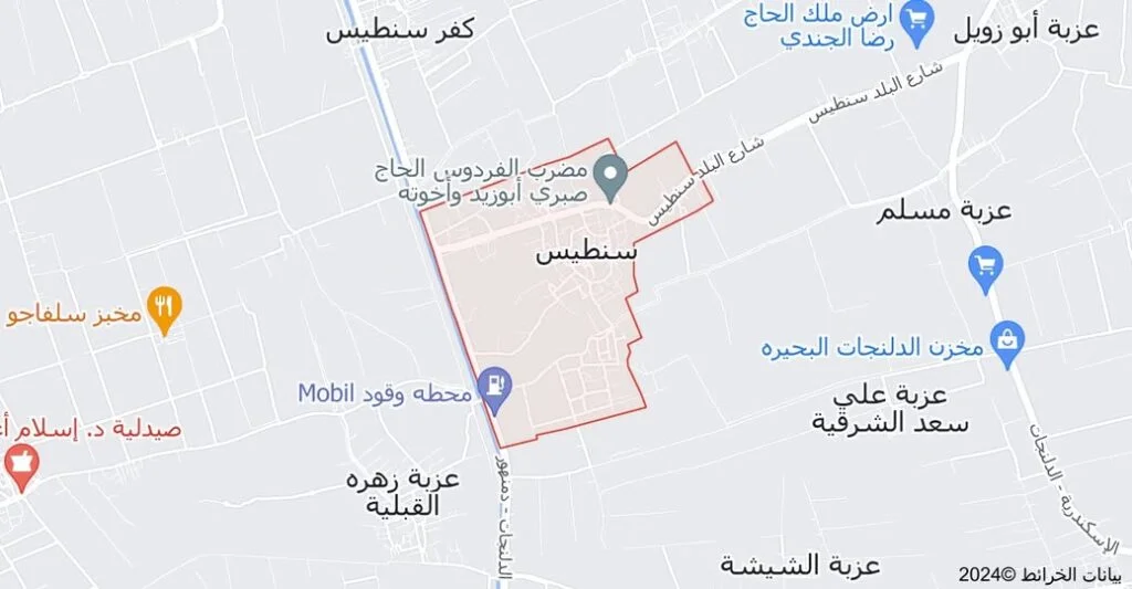 مركز دمنهور