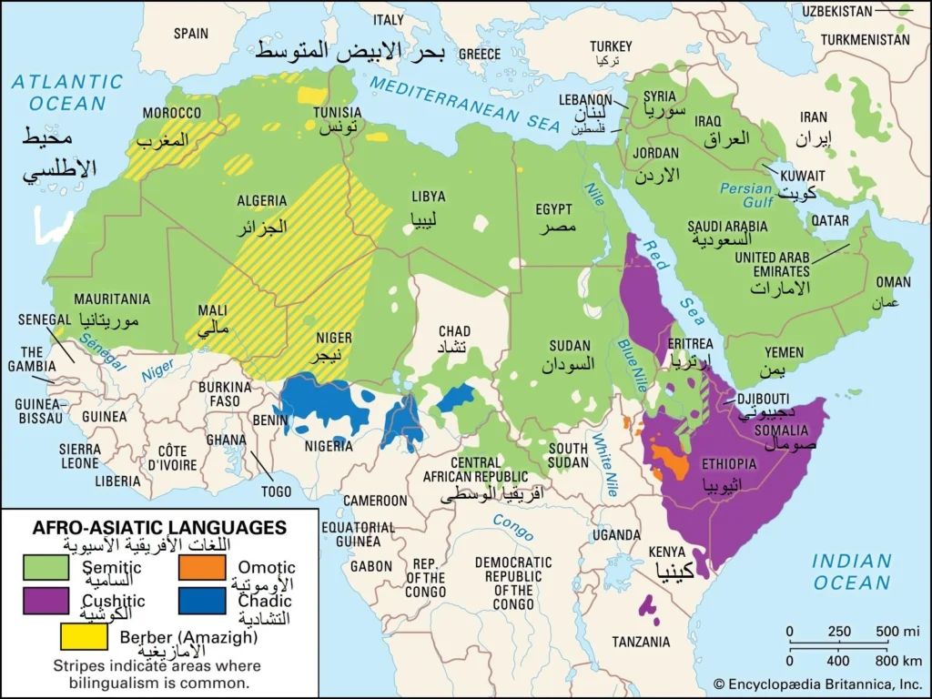 الوطن العربي .. حقيقة وانتماء