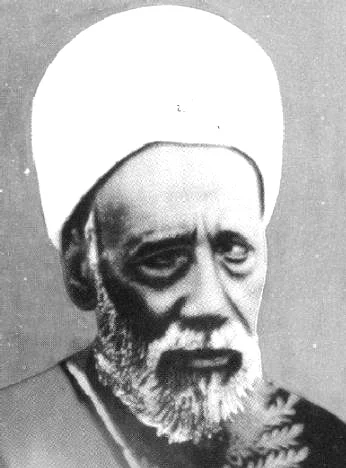 3 / الشيخ حسن الهواري العدوي